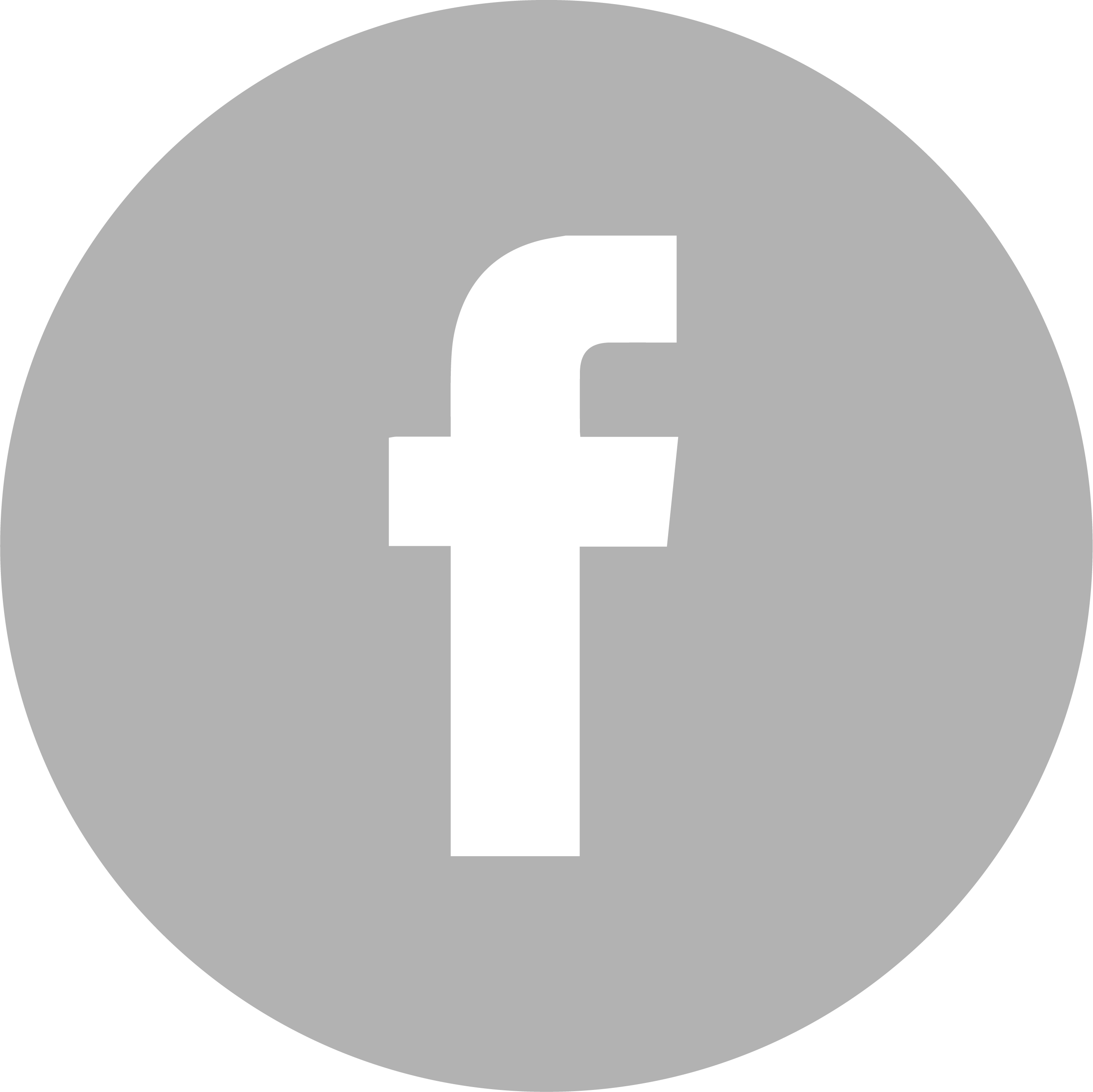 FaceBook Logo